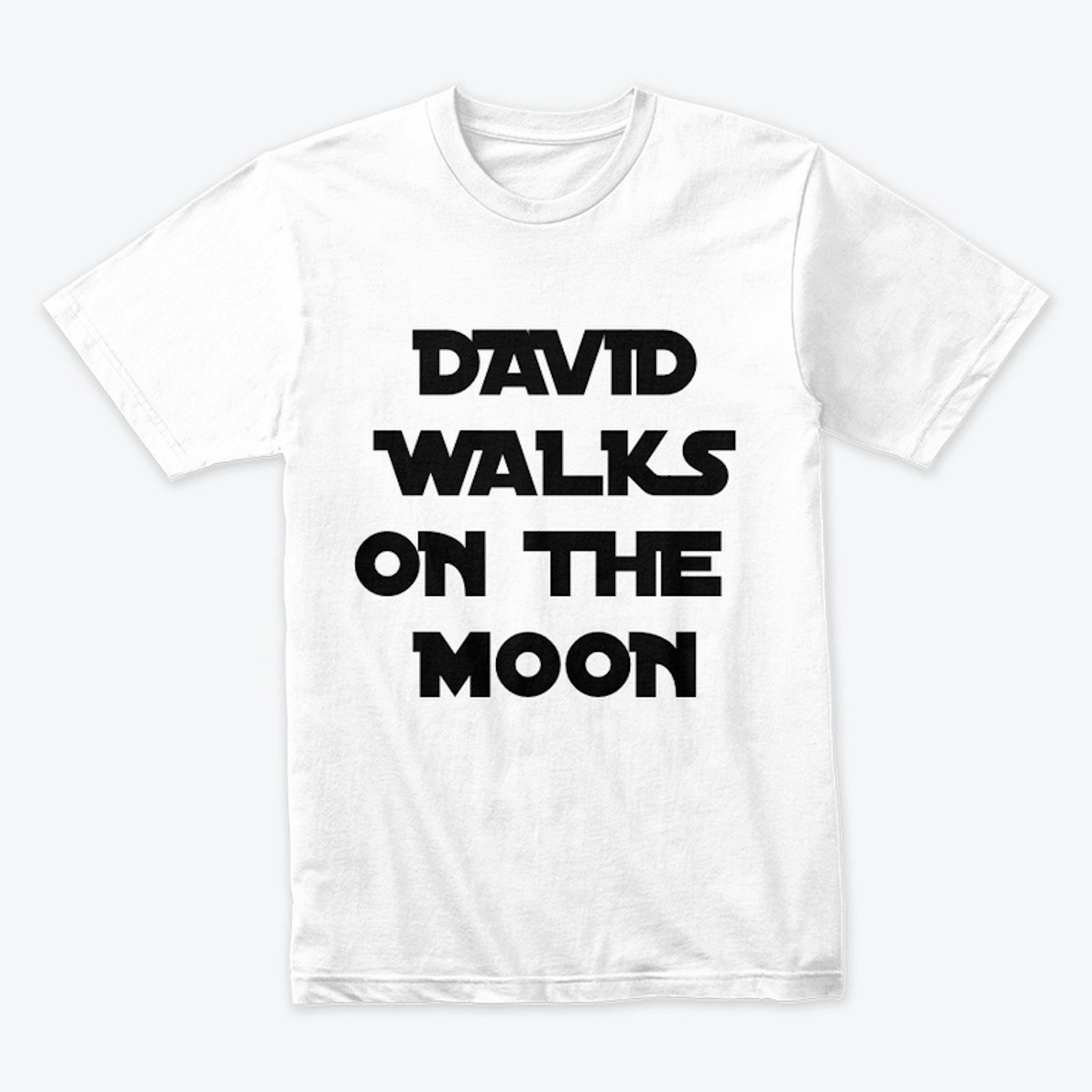 David Walks on the Moon